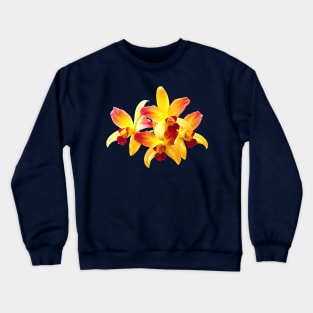 Yellow and Maroon Orchids Brassolaeliocattleya Laughing Boy Crewneck Sweatshirt